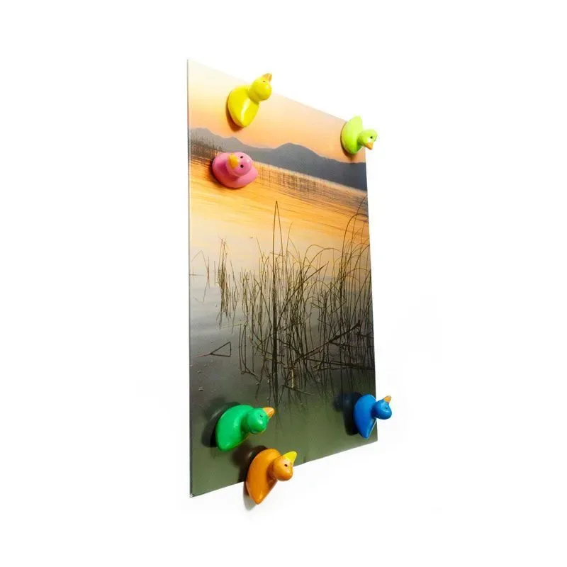 Trendform Magneten Eendjes Set van 6 Stuks