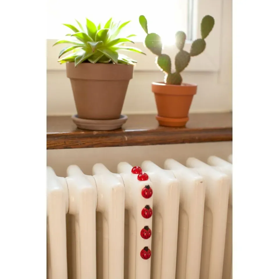 Trendform Magneten Lieveheersbeestjes Set van 6 Stuks