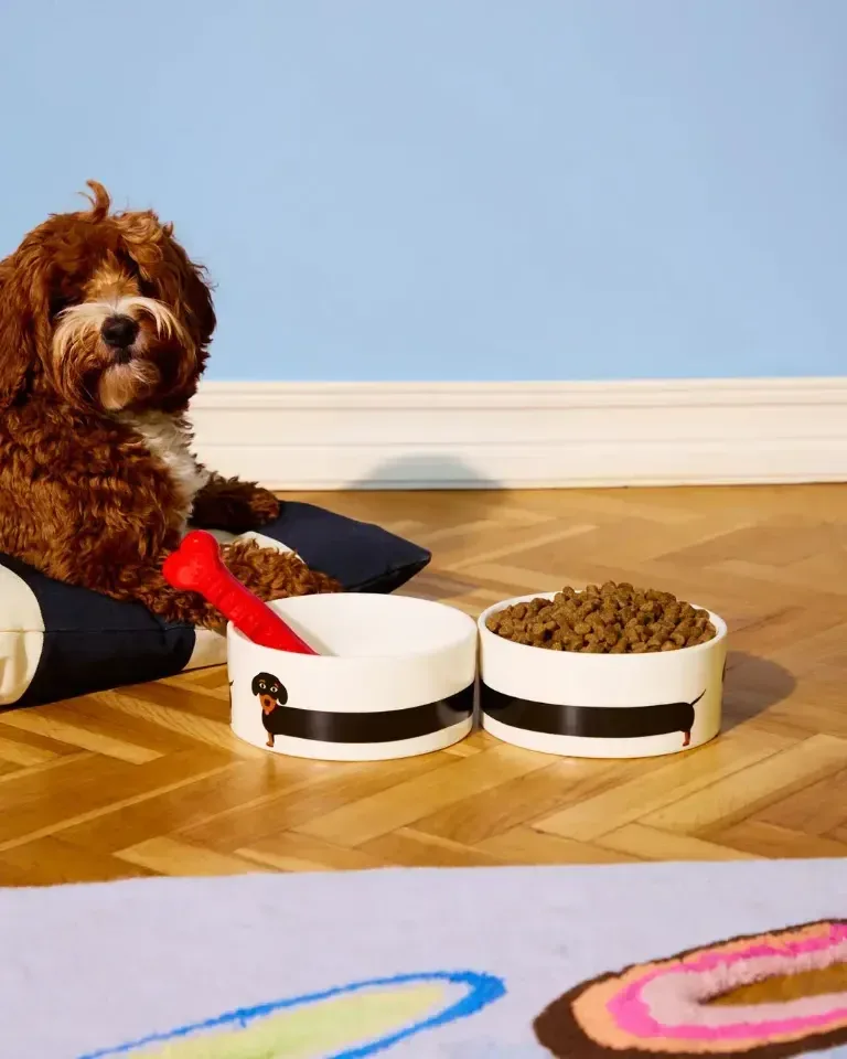 Fluid Market Voederbak Kom Teckel Hond