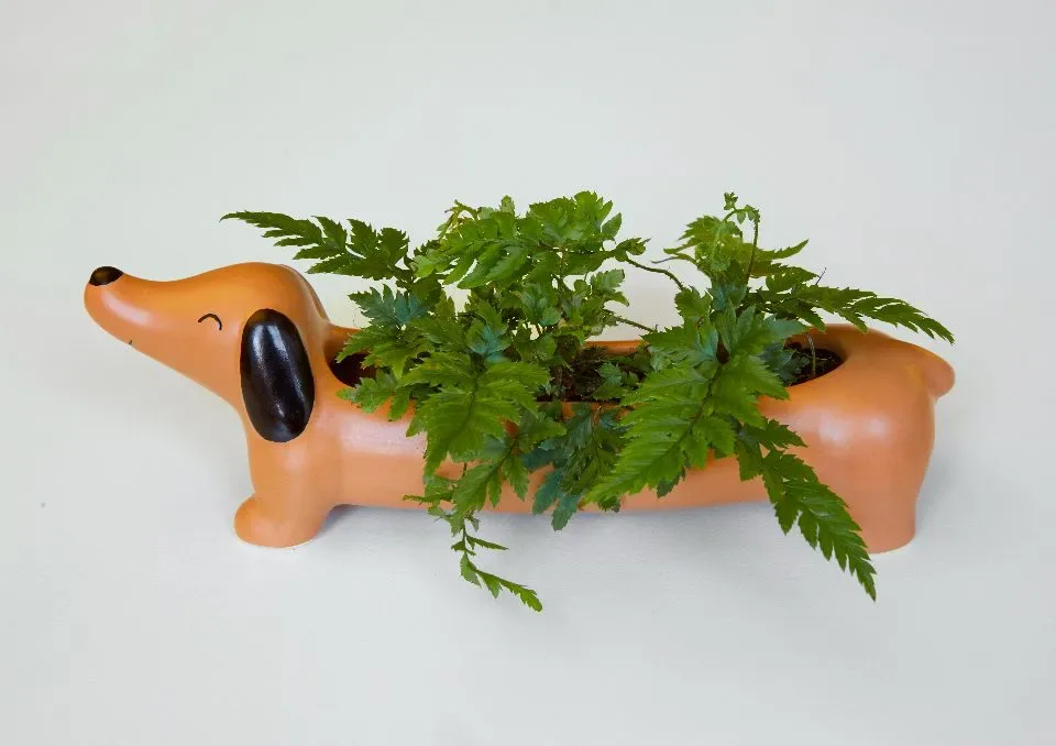 Bloempot Teckel Hond | Kikkerland