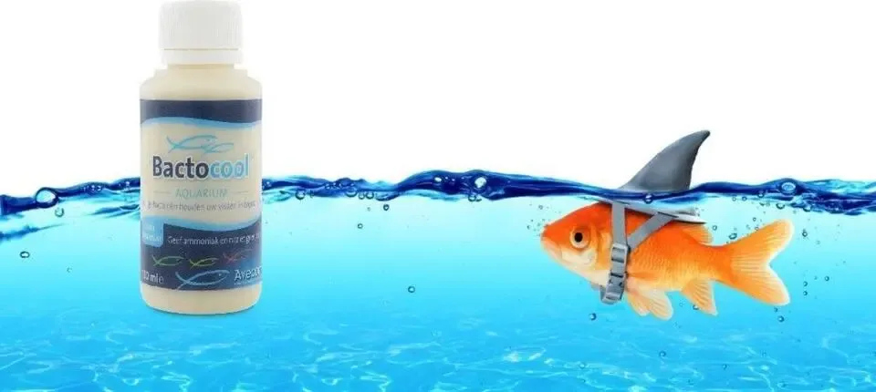 Bactocool® Aquarium 100 mL - levende en veilige bacterien - geef ammoniak en nitriet geen kans!