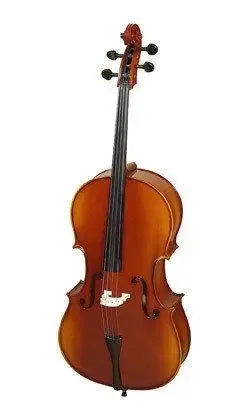 Hora C-110 1/2 "Rhapsody" studiecello