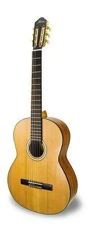 Iberica ADGS Klassieke gitaar voor gevorderde studenten
