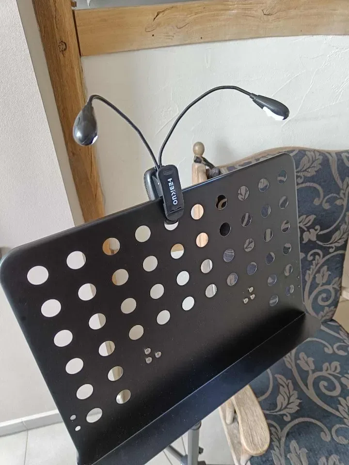 MSA WL01 dubbel OPLAADBAAR leeslampje voor plank, muziekstandaard of pupiter