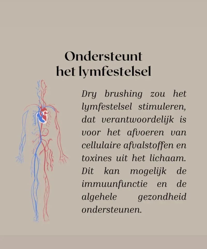 Dry Brush